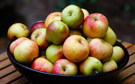 Apples - the absolute best snack there is for kids with GERD